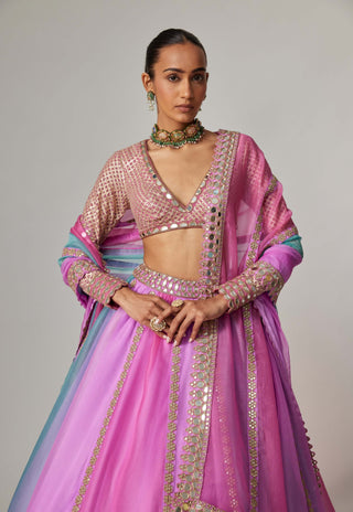 Mauve multicolor linear lehenga set