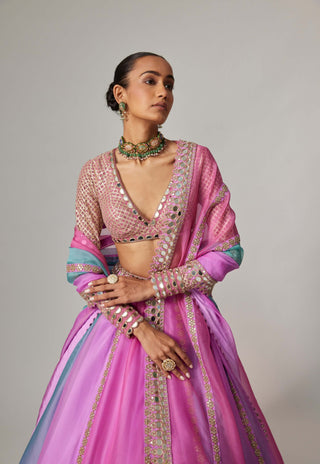 Mauve multicolor linear lehenga set