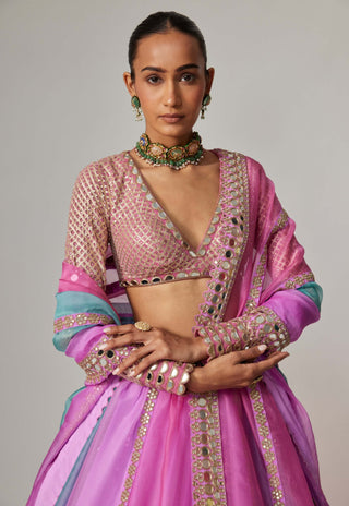 Mauve multicolor linear lehenga set