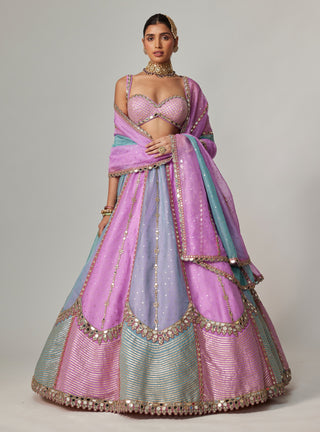 Mauve sequin scattered lehenga set