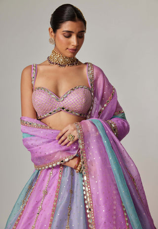 Mauve sequin scattered lehenga set
