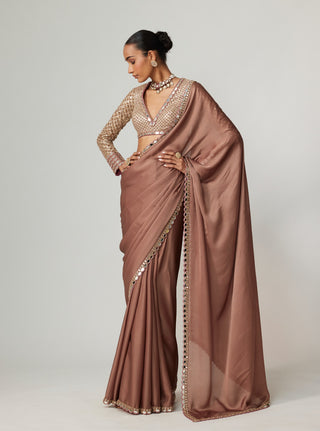 Deep beige satin sari and blouse
