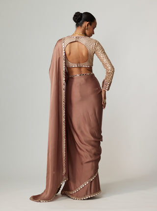 Deep beige satin sari and blouse