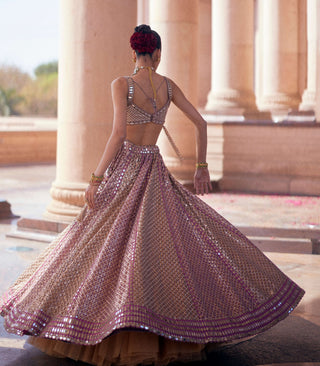 Deep beige multicolor metallic lehenga set
