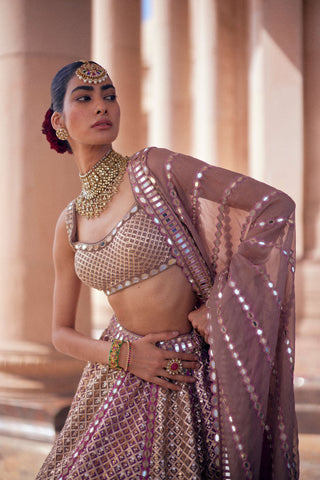 Deep beige multicolor metallic lehenga set