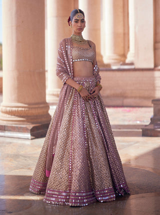 Deep beige multicolor metallic lehenga set