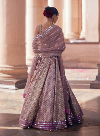 Deep beige multicolor metallic lehenga set