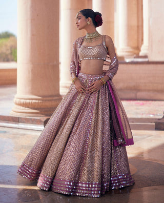 Deep beige multicolor metallic lehenga set