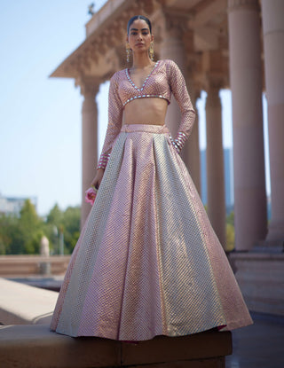 Deep beige multicolor lehenga set
