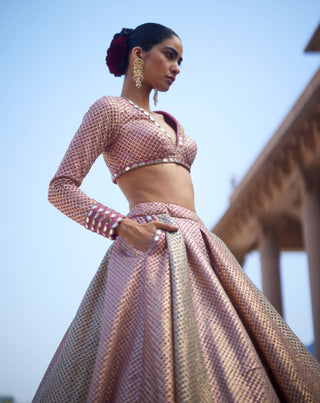 Deep beige multicolor lehenga set