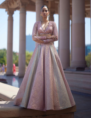 Deep beige multicolor lehenga set