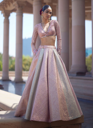 Deep beige multicolor lehenga set