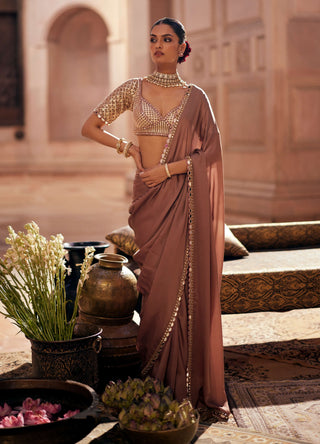 Deep beige satin sari and sweetheart blouse