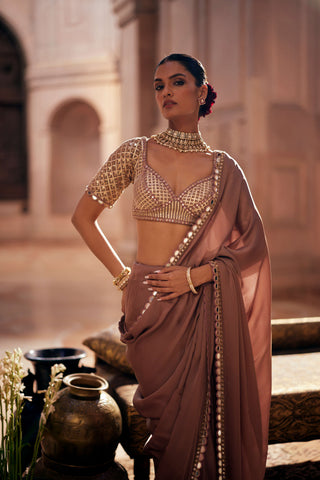Deep beige satin sari and sweetheart blouse