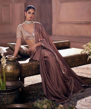 Deep beige satin sari and sweetheart blouse