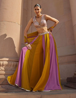 Green multicolor lehenga pants set