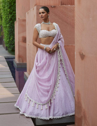 Lavender mirror and pearl lehenga set