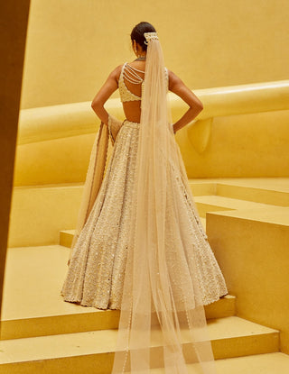 Light beige dense mirror and pearl lehenga set