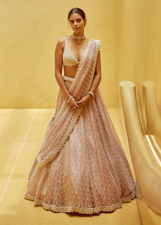 Ash pink pearl drop organza lehenga set