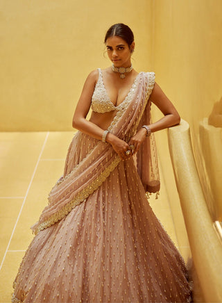 Ash pink pearl drop organza lehenga set