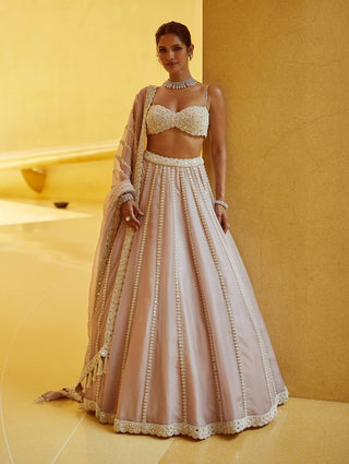 Ash pink linear embroidered organza lehenga set