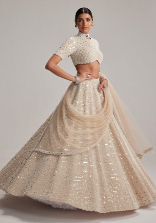 Light beige dense pearl and mirror lehenga set