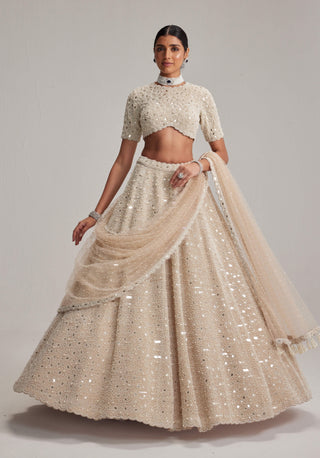 Light beige dense pearl and mirror lehenga set