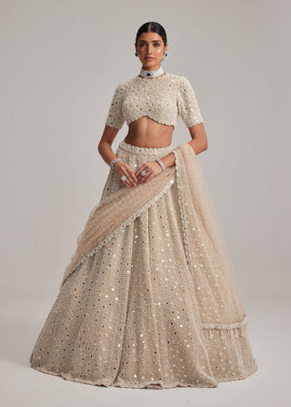 Light beige dense pearl and mirror lehenga set
