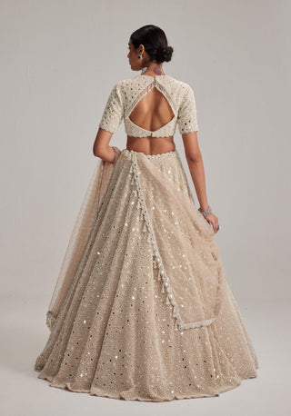 Light beige dense pearl and mirror lehenga set