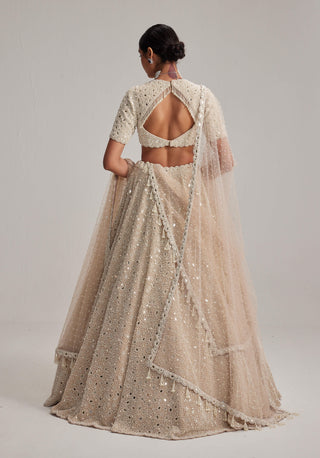 Light beige dense pearl and mirror lehenga set