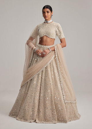 Light beige dense pearl and mirror lehenga set