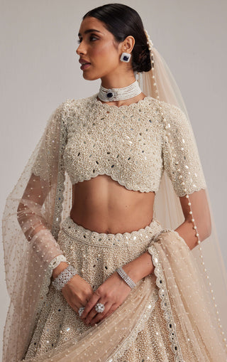 Light beige dense pearl and mirror lehenga set