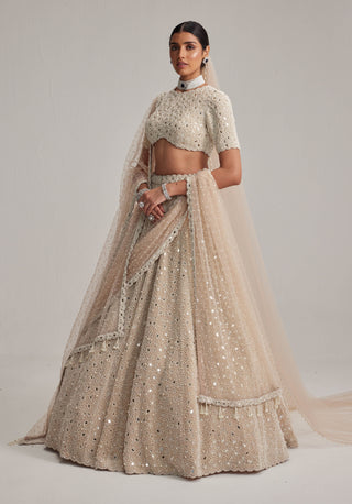 Light beige dense pearl and mirror lehenga set