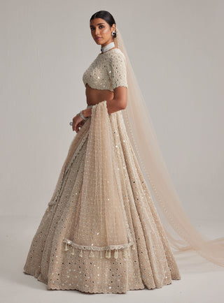 Light beige dense pearl and mirror lehenga set