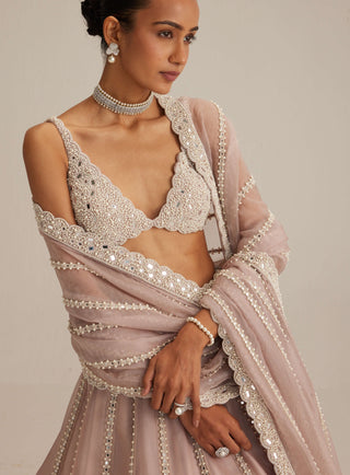 Ash pink pearl mirror linear lehenga set