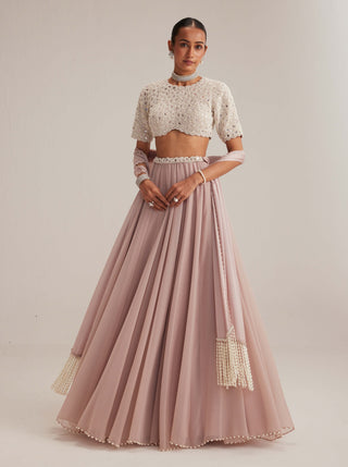 Ash pink georgette skirt with high neck blouse and stole