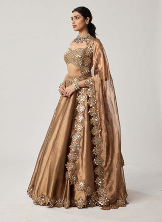 Copper organza lehenga set