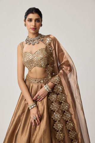 Copper organza lehenga set