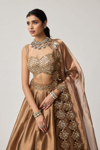 Copper organza lehenga set