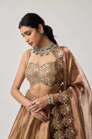 Copper organza lehenga set