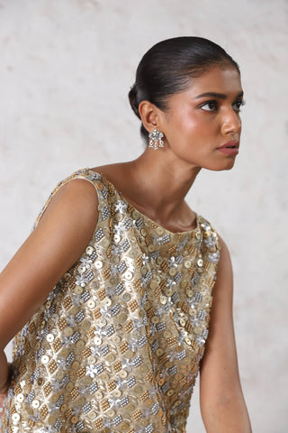 Mandarmani metallic dress