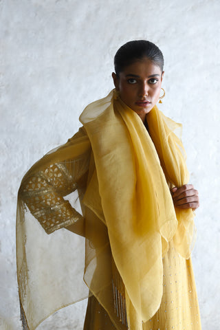 Mahua ochre kurta set