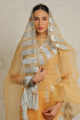 Maharani Orche Sari Set by Saksham & Neharicka available on Indiaspopup.com