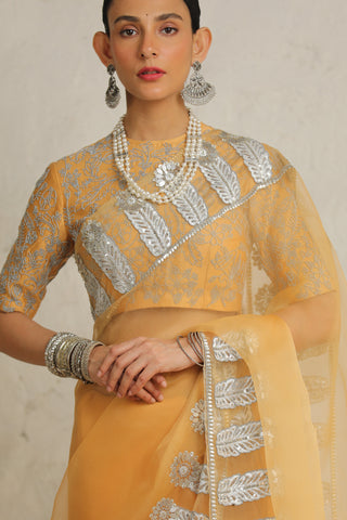 Maharani Orche Sari Set by Saksham & Neharicka available on Indiaspopup.com