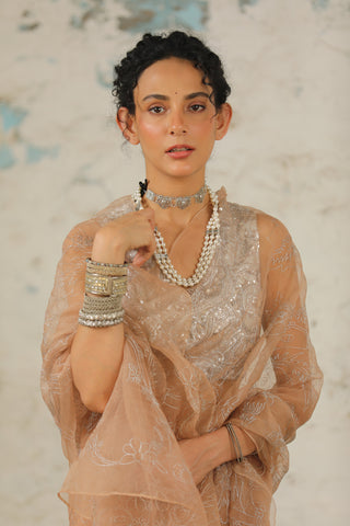 Dune Organza Sari And Unstitched Blouse by Saksham & Neharicka available on Indiaspopup.com