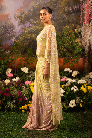Sage Green & Blush Pink Caylie Sari And Blouse by Moledro available on Indiaspopup