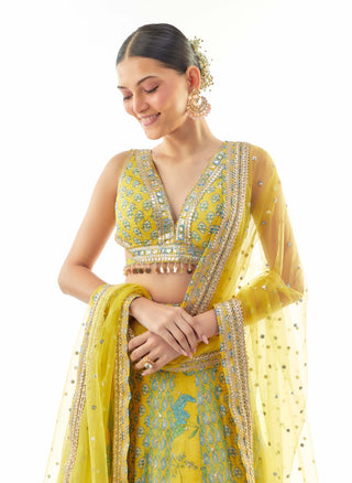 Yellow aashi lehenga set