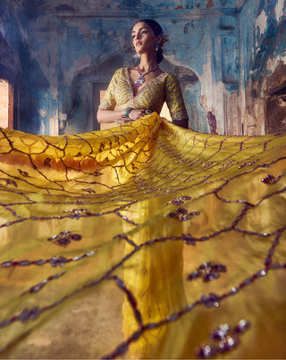 Nitika Gujral-Yellow Embroidered Organza Sari Set-INDIASPOPUP.COM