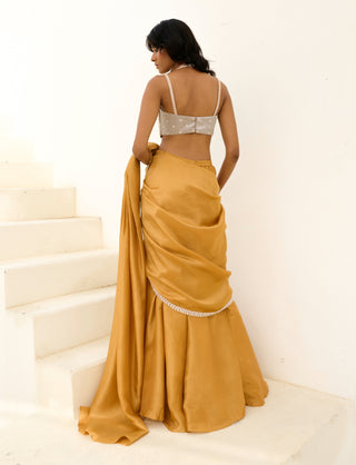 Gold and silver manya pre-draped sari and blouse