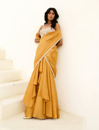 Gold and silver manya pre-draped sari and blouse